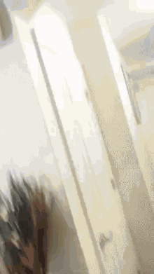 a blurry picture of a person standing in a doorway .