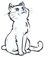 a black and white drawing of a cat sitting down looking up