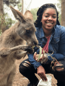kangaroo kisses feeding smile happy