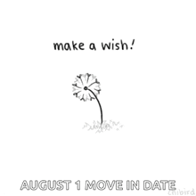 a black and white drawing of a dandelion with the words `` make a wish ! '' and `` august 1 move in date '' .