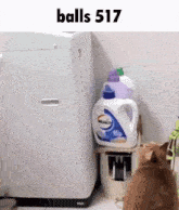 a cat standing in front of a washing machine with balls 517 written on the top