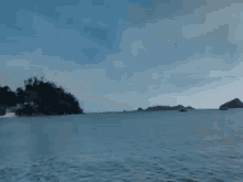 a group of people posing for a picture on the beach