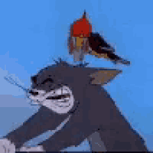 Tom And Jerry Woodpecker GIF - Tom And Jerry Woodpecker GIFs