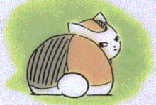 Cat Neko GIF - Cat Neko Kitty GIFs