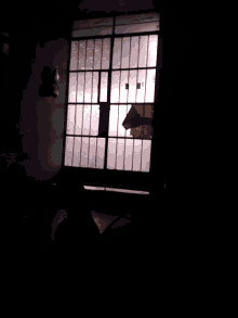 a person laying on a bed in a dark room with a window