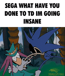 sega what have you done to td im going insane written on a cartoon
