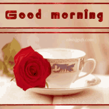 good_morning morning flowers rose tea