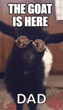 a goat wearing sunglasses is standing in front of a sign that says the goat is here dad .