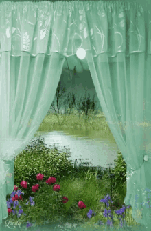 window view nature flowers river