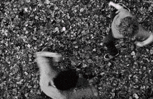 a black and white photo of two people playing with leaves .