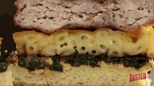 Chicken 'N Biscuit 'N Mac 'N Cheese... Oh My!! GIF - Chicken Biscuit Mac And Cheese GIFs