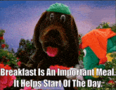 The Wiggles Wags The Dog GIF - The Wiggles Wags The Dog Breakfast GIFs