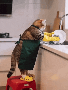 a cat wearing a green apron and yellow gloves is washing dishes in a kitchen