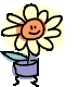 Flower Wink Sticker - Flower Wink Plant Stickers