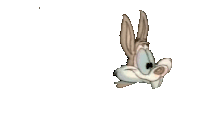 a cartoon of a coyote wearing sunglasses is flying in the air