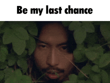 a man with a beard is peeking out from behind some leaves with the words " be my last chance " above him