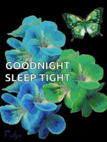 Good Night Sleep Tight GIF - Good Night Sleep Tight Sparkles GIFs
