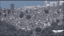 Eu Só Quero é Ser Feliz E Andar Tranquilamente Na Favela Onde Eu Nasci  Rio De Janeiro GIF - Favela Brazil Homes GIFs