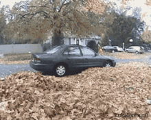 Ball Surprise GIF - Ball Surprise Leaves GIFs