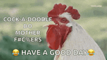 Cock A Doodle Do Chicken GIF - Cock A Doodle Do Chicken Rooster GIFs