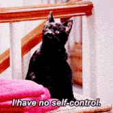 a black cat sits on a chair next to a pink towel and says i have no self-control
