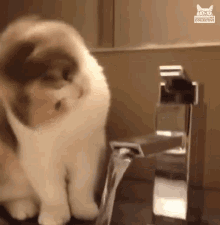 Thirsty Almost GIF - Thirsty Almost Close Enough GIFs