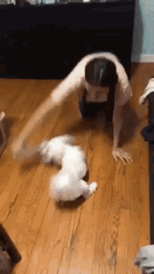 spinner dog puppy abby spinning