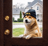 a dog wearing a dea hat looks out of a door