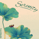 a poster with flowers and the word serenity