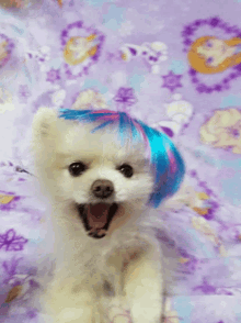 Dog Halloween Cute GIF - Dog Halloween Cute Wig GIFs