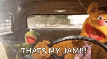 Kermit The Frog Thats My Jam GIF - Kermit The Frog Thats My Jam Fozzie Bear GIFs