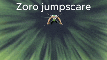 Zoro Jumpscare GIF - Zoro Jumpscare Meme GIFs