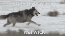 Guga Warwick GIF - Guga Warwick Lobo GIFs