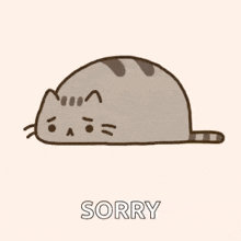 Fat Cat Sorry Images GIF - Fat Cat Sorry Images GIFs