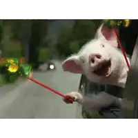 a pig is sticking its head out of a car window holding a red stick