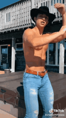 ultimate gif undressed