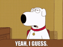 Family Guy Brian Griffin GIF - Family Guy Brian Griffin Yeah I Guess GIFs