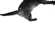 Star Cat GIF - Star Kitten Cat GIFs