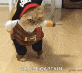 a cat dressed as a pirate is walking on a wooden floor holding a sword .