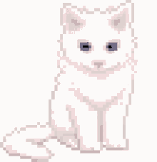 cat pixel
