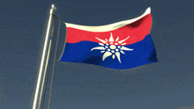 a red white and blue flag with a white star in the middle