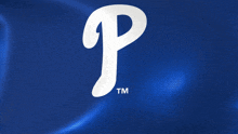 a blue background with a white letter p and the tm logo