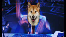 Doge Computer GIF - Doge Computer GIFs