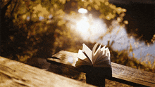 Book Sun GIF - Book Sun Poetic GIFs