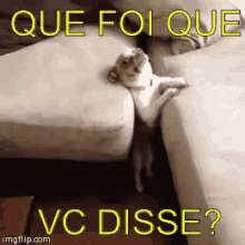 Sofá Cachorro Engraçado Quequevocêfalou GIF - Couch Dog Funny GIFs