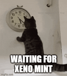 Xeno Mining Xeno Mint GIF - Xeno Mining Xeno Mint GIFs
