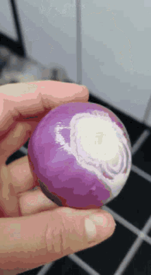 Onion Cat GIF - Onion Cat Tabouch GIFs
