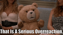 Ted Tv Show Overreaction GIF - Ted Tv Show Overreaction That Is A Serious Overreaction GIFs