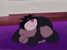 Cats Idk GIF - Cats Idk I Dont Know GIFs