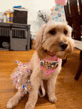 Thank You Doodle GIF - Thank You Doodle Golden Doodle GIFs